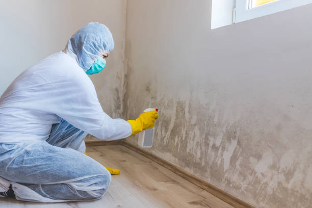 Mold Remediation specialist working in Crofton